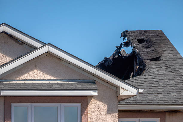 Top rated local Fire Damage Removal specialists in Gaylord, MN